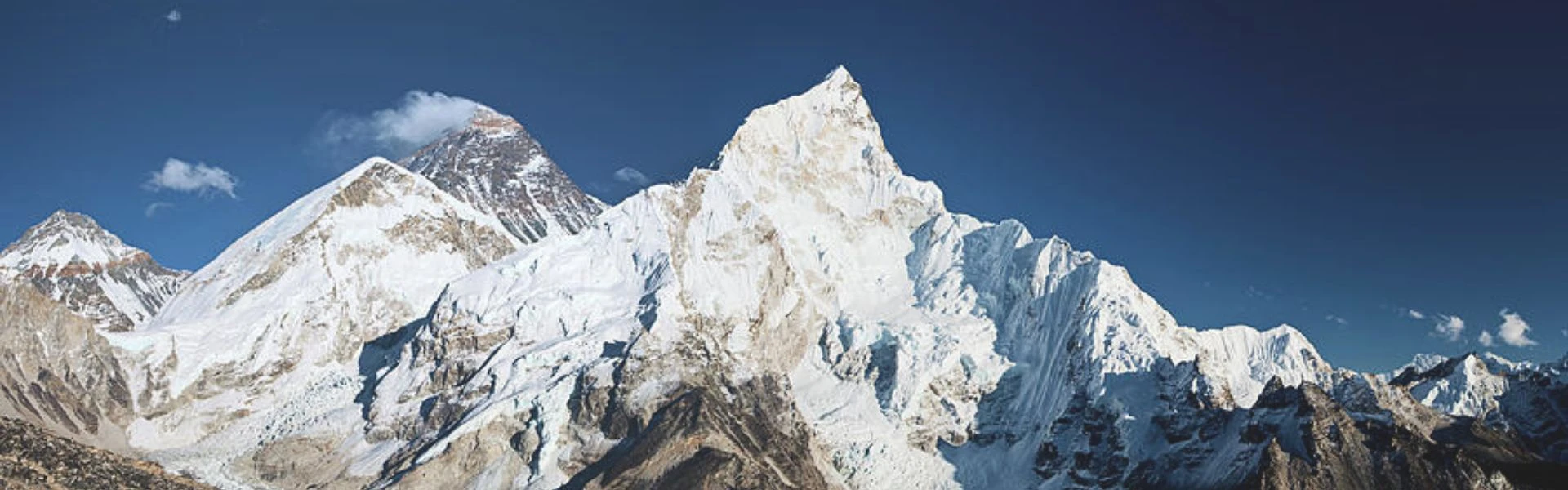 Below the First, All Is Grass and Ants